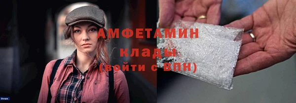 стаф Козловка