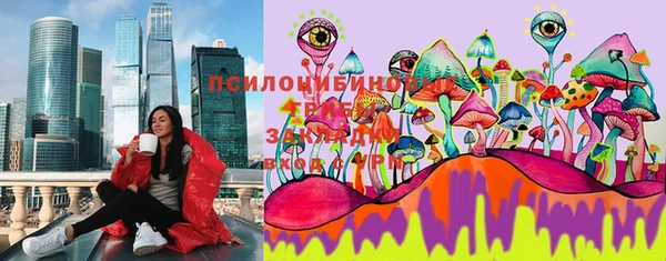 бошки Иннополис