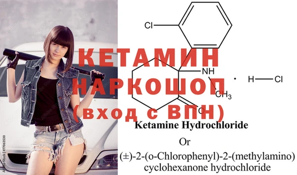 крисы Кодинск