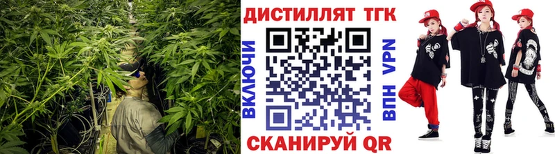 Дистиллят ТГК концентрат Дигора